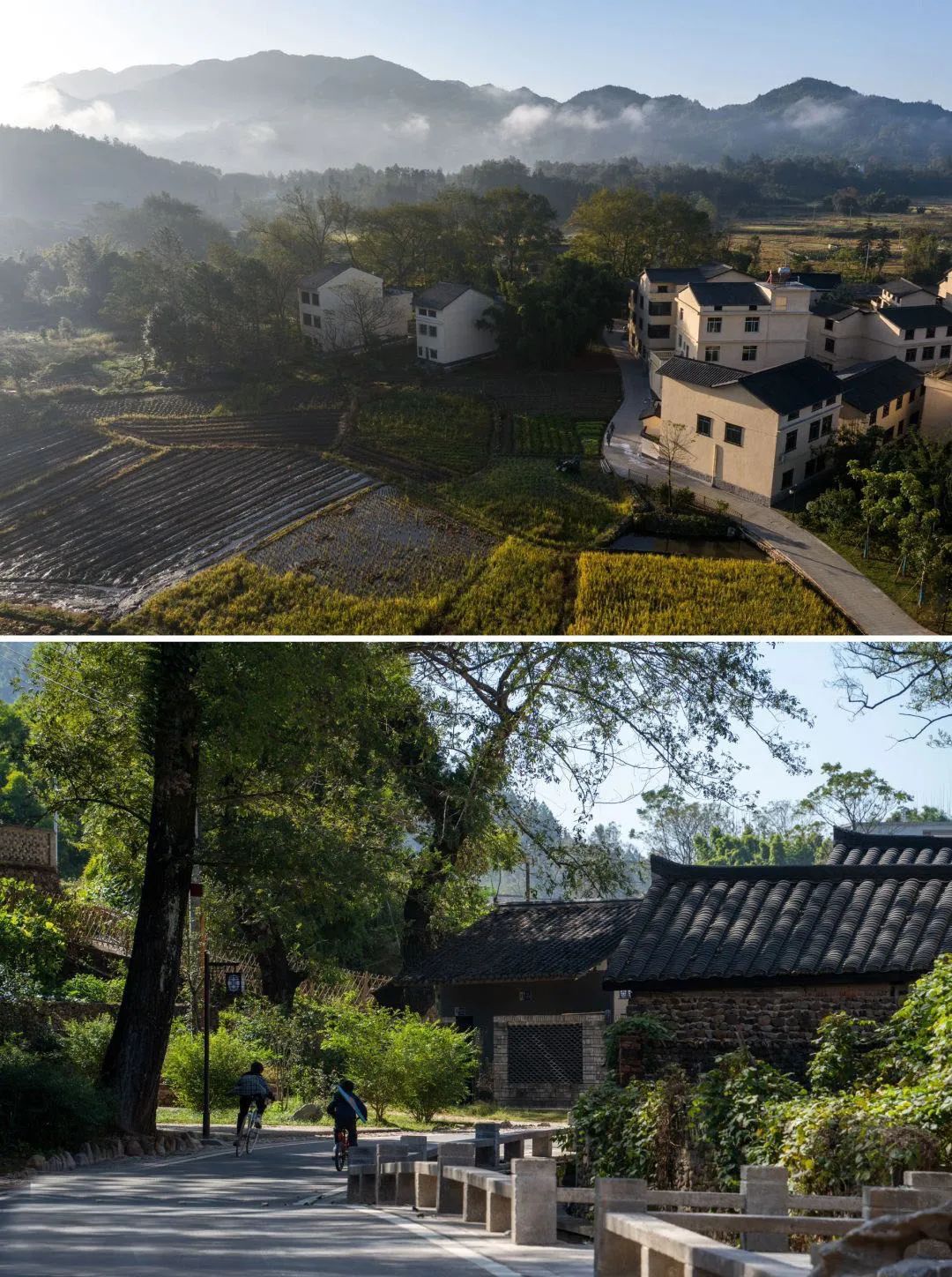配图2.jpg