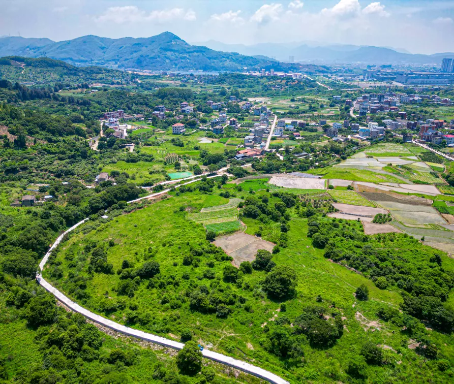 Rural Revitalization • Longxi Village